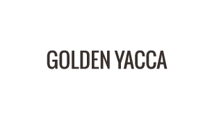 Golden Yacca
