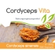 Cordyceps Sinensis von Cellavita Vorratspackung - 500 Kapseln - Etikett