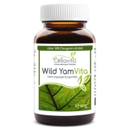 Produktabbildung: Wild Yam Vita (Yamswurzel) 90g Pulver