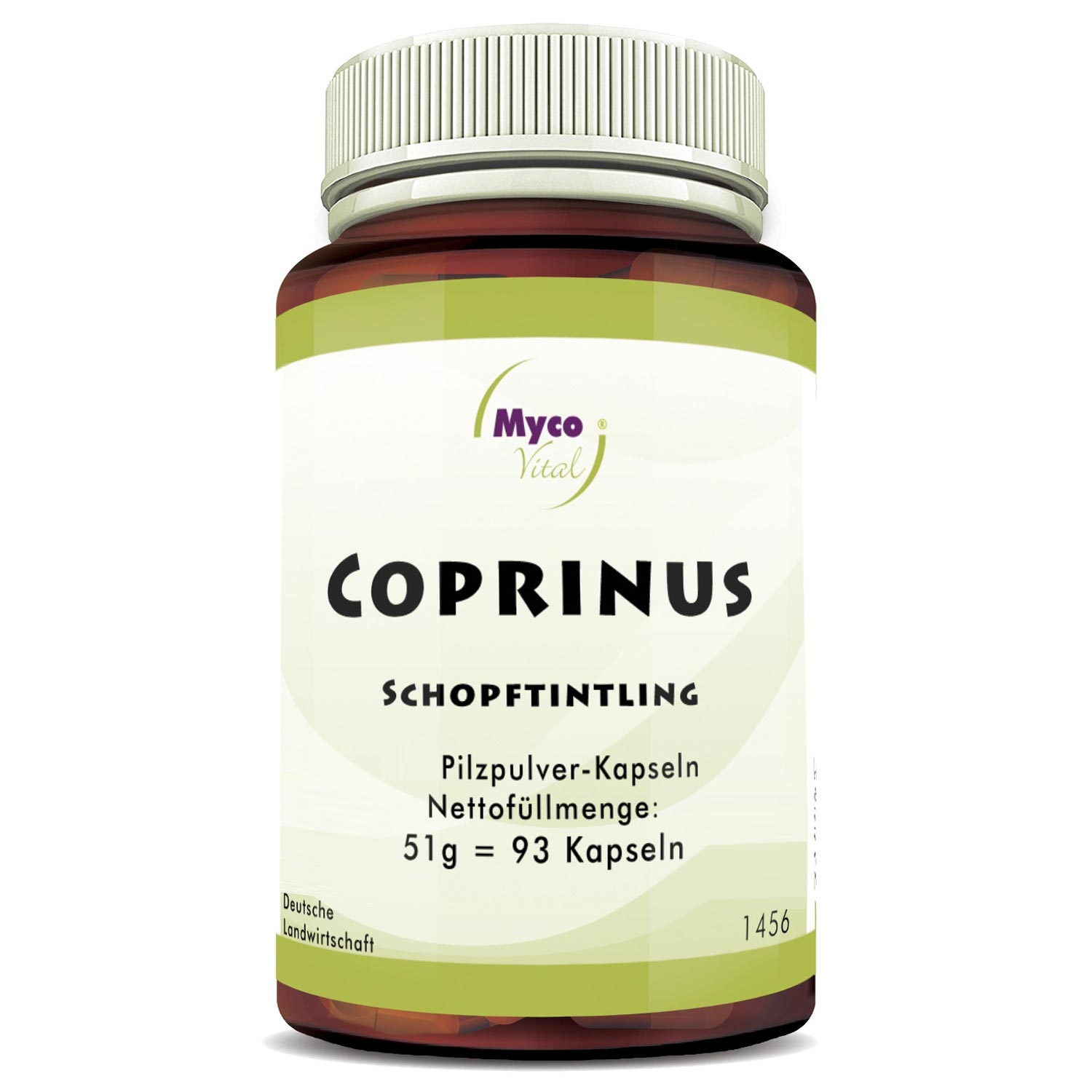 Coprinus comatus von MycoVital