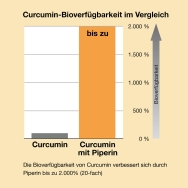 Curcuma Piperin forte von Biotikon - Bioverfügbarkeit