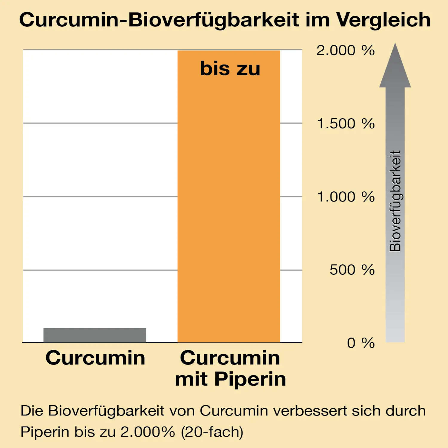 Curcuma Piperin von Biotikon - Bioverfügbarkeit