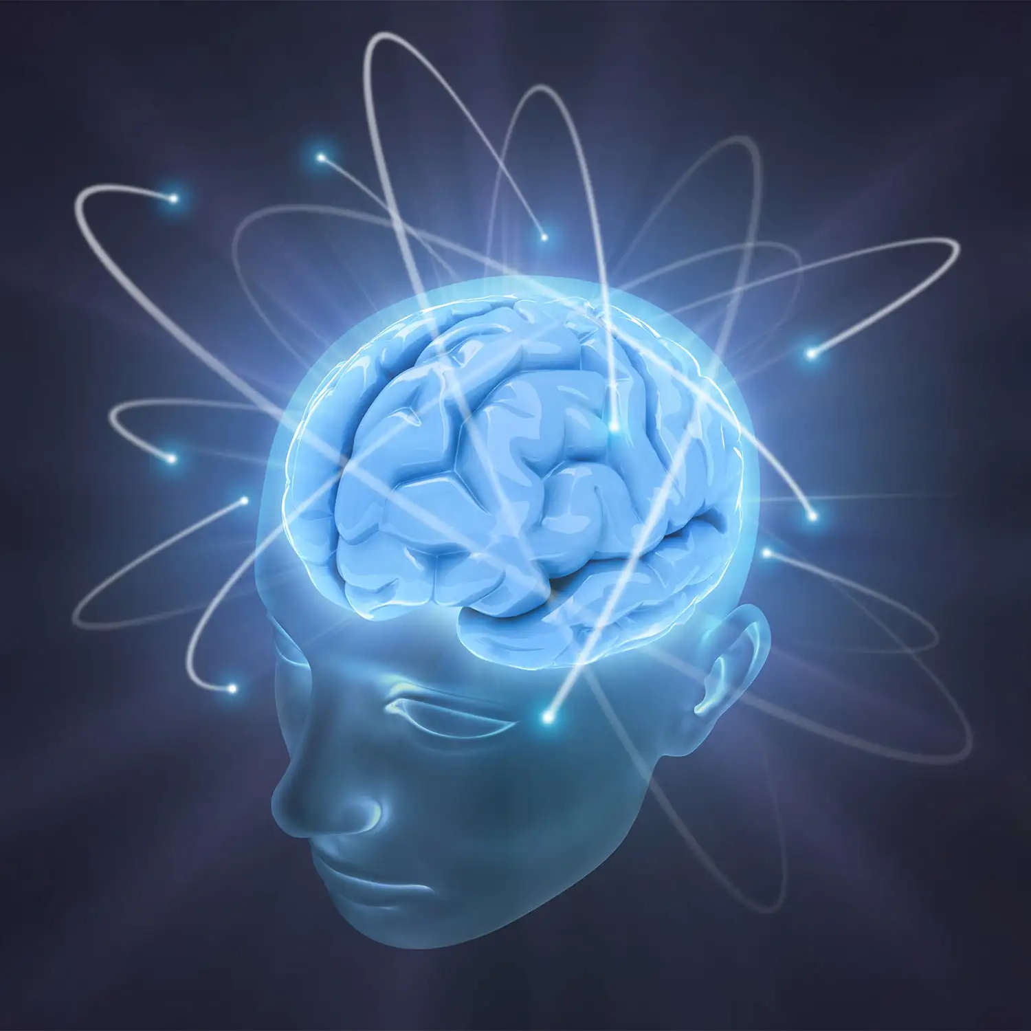 Gehirn & geistige Leistung von Biotikon - Kopf - Gehirn