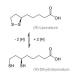R-Alpha-Liponsäure von Biotikon - 60 Kapseln - Formel