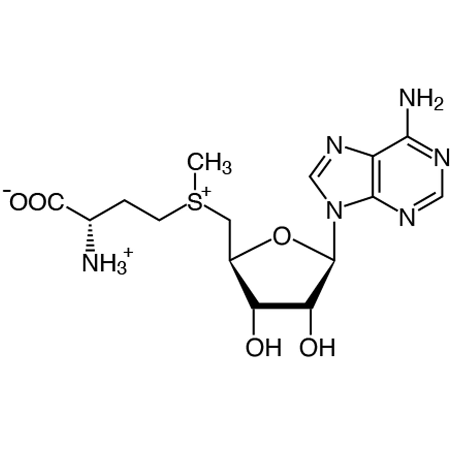 SAM-e von Biotikon - Formel