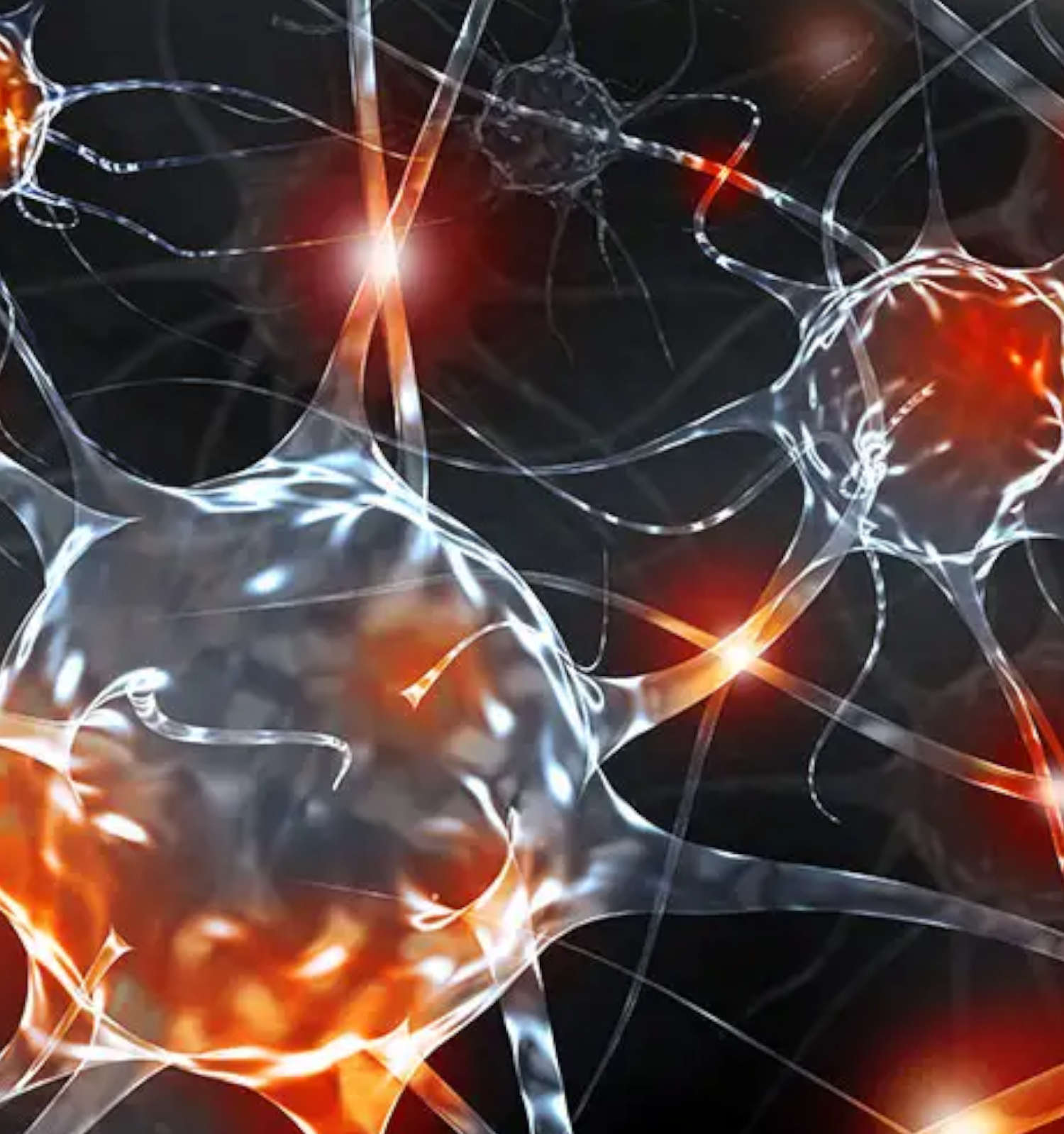 Brain Booster von Biotikon - Neuronales Netzwerk