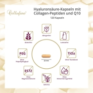 Cellufine® Hyaluronsäure-Kapseln mit Collagen-Peptiden und Q10 – Produkteigenschaften