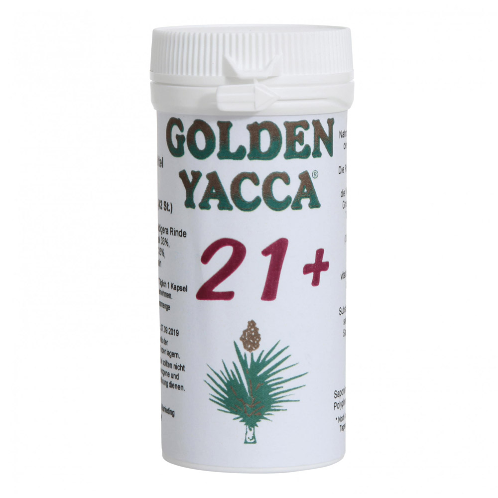 Golden Yacca 21+