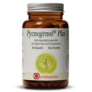 Produktabbildung: Pycnogenol Plus von Quintessence Naturprodukte - 60 Kapseln