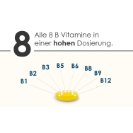 BioActive B-Komplex von Pharma Nord - 8 B-Vitamine