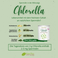 Chlorella Merkmale